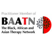 HOMEPAGE LOGO_BAATN logo